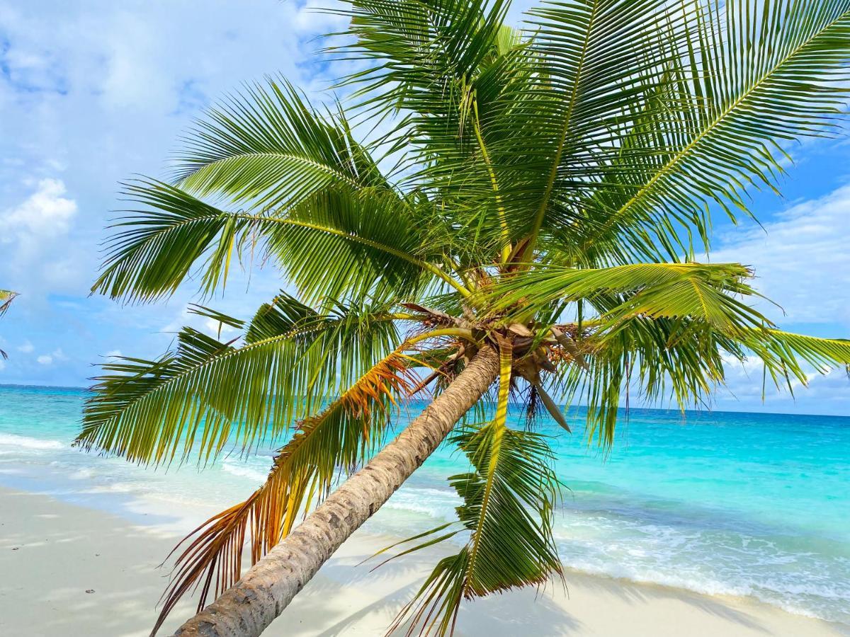 Tme Retreats Dhigurah Hotel Dhigurah  Bagian luar foto